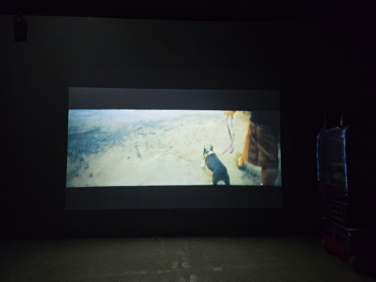 열린수장고 기획전 《아피찻퐁 위라세타쿤》