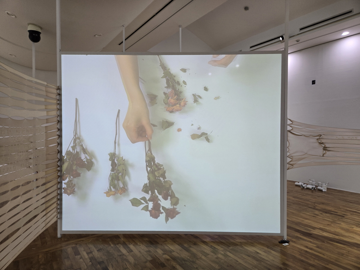 부드럽게 걸어요, 그대 내 꿈 위를 걷고 있기에