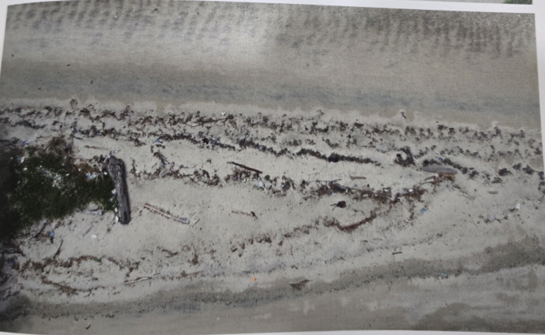 제14회 광주비엔날레 <물처럼 부드럽고 여리게