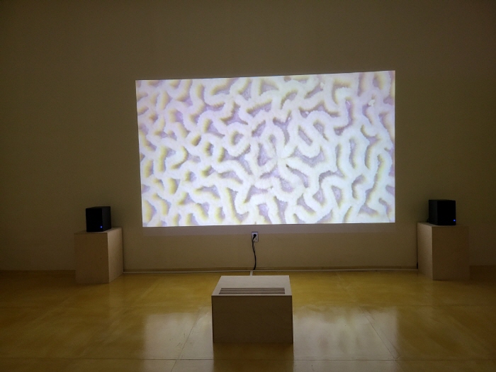 제14회 광주비엔날레 <물처럼 부드럽고 여리게